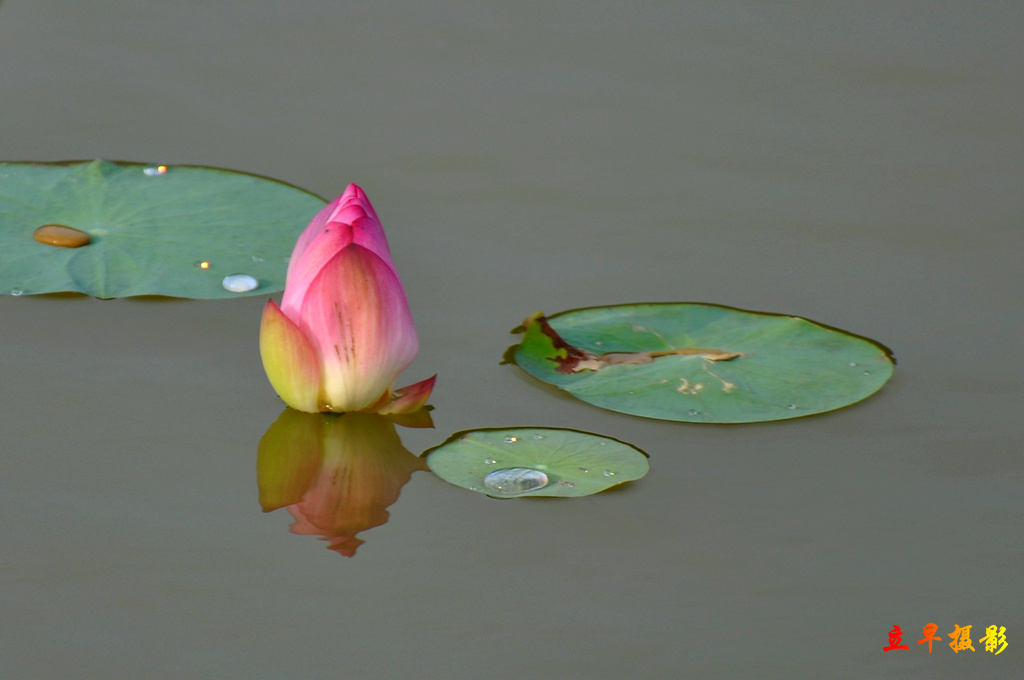 DSC_1497.JPG