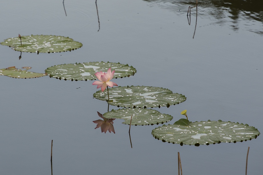 DSC_8670.jpg