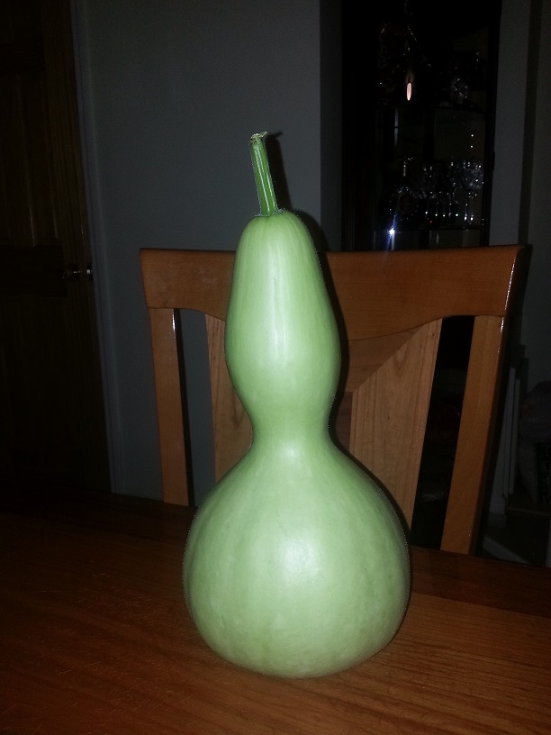20130805_235849.jpg
