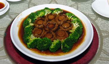 QQͼ20130828213733.png