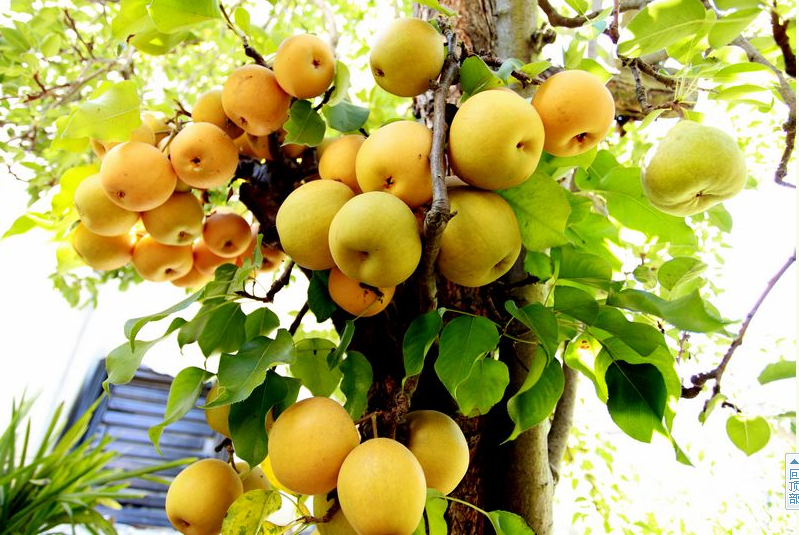 QQͼ20130817195111.png