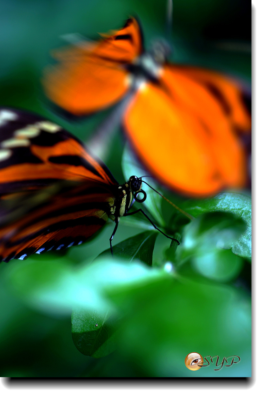 DSC01778_.jpg