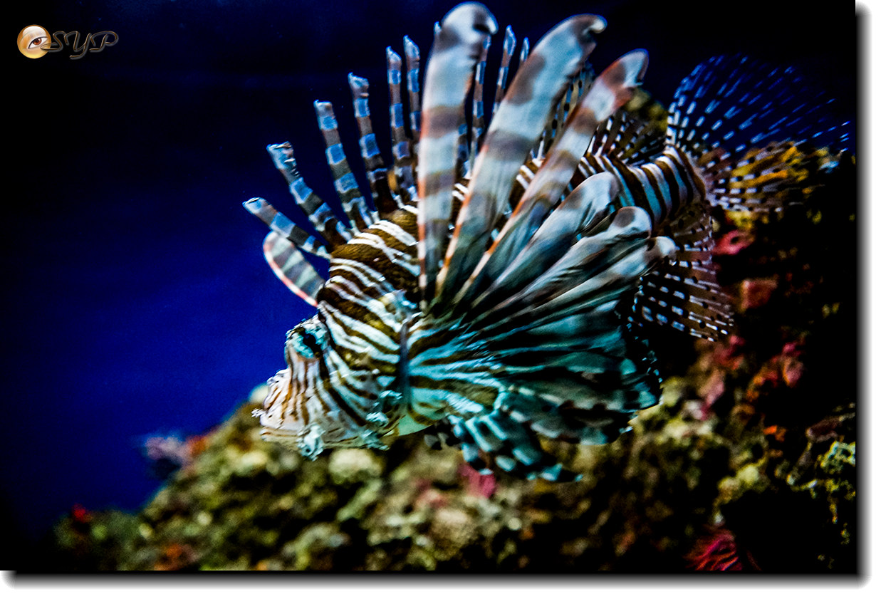 DSC02169_.jpg