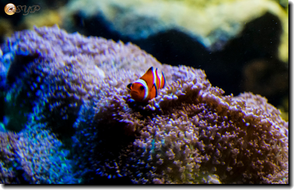 DSC02177_.jpg