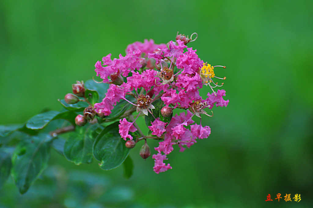 DSC_0693.JPG