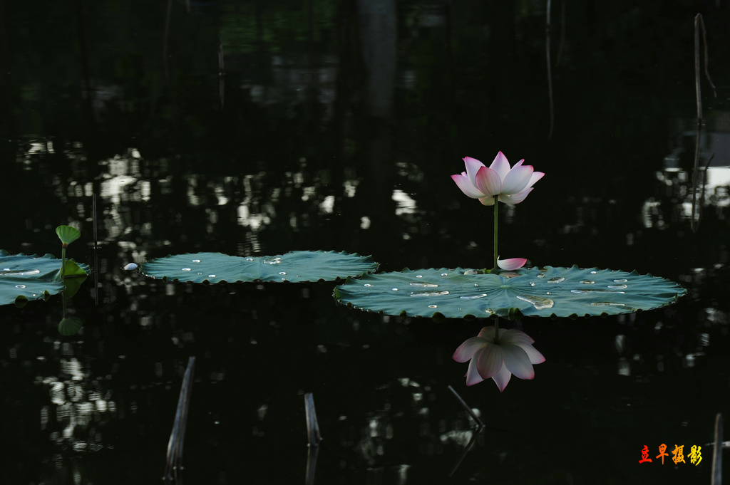 DSC_9305.JPG