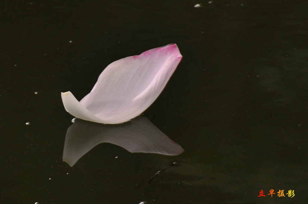 DSC_0885.JPG