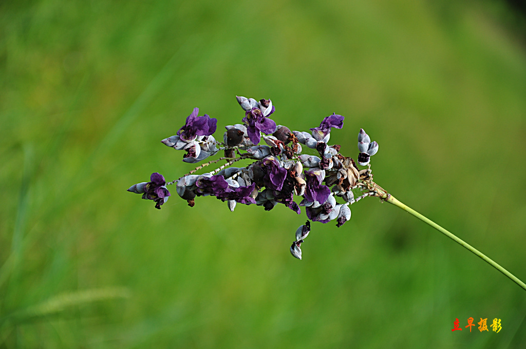 DSC_1425.JPG