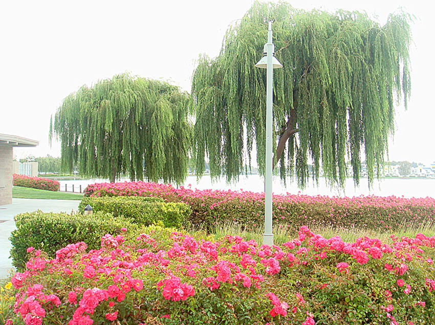 DSC03841_.jpg