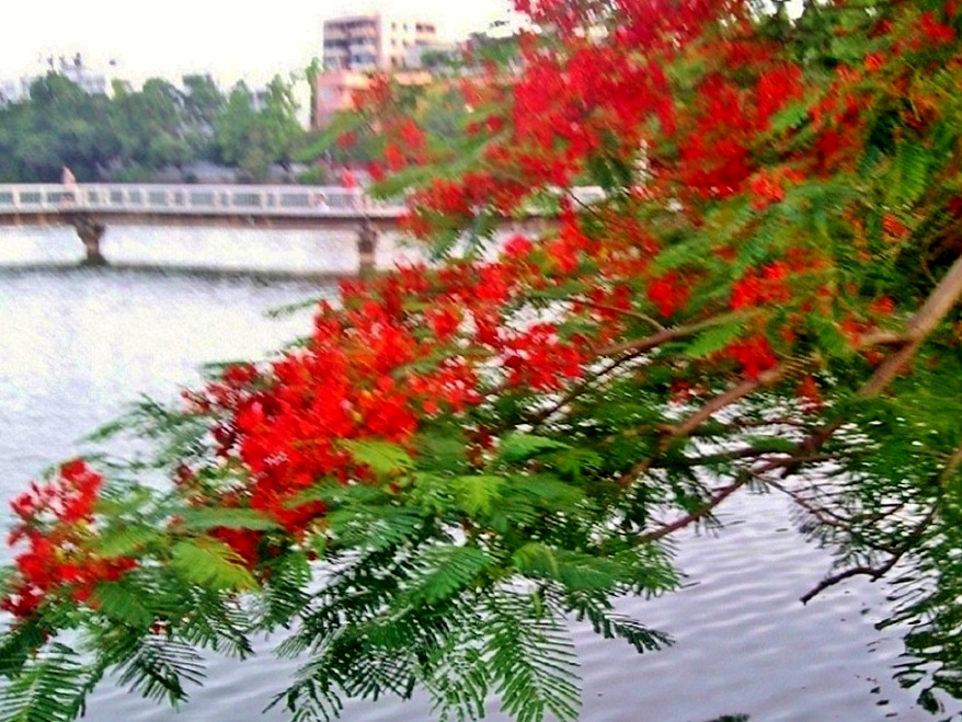 Ƭ-0004.jpg