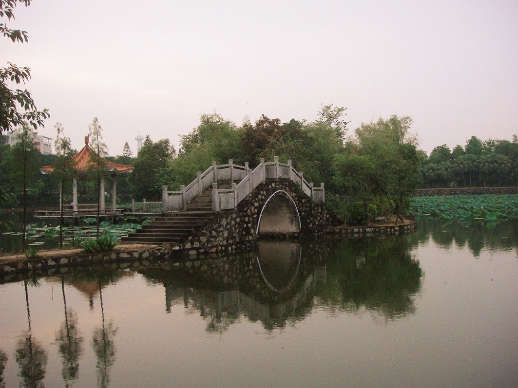 DSC09111_.jpg
