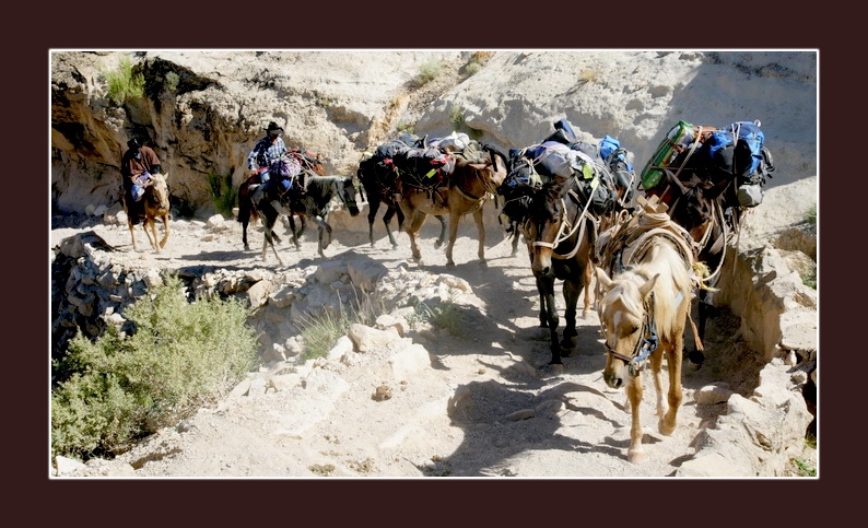 havasupai091612_1006.jpg