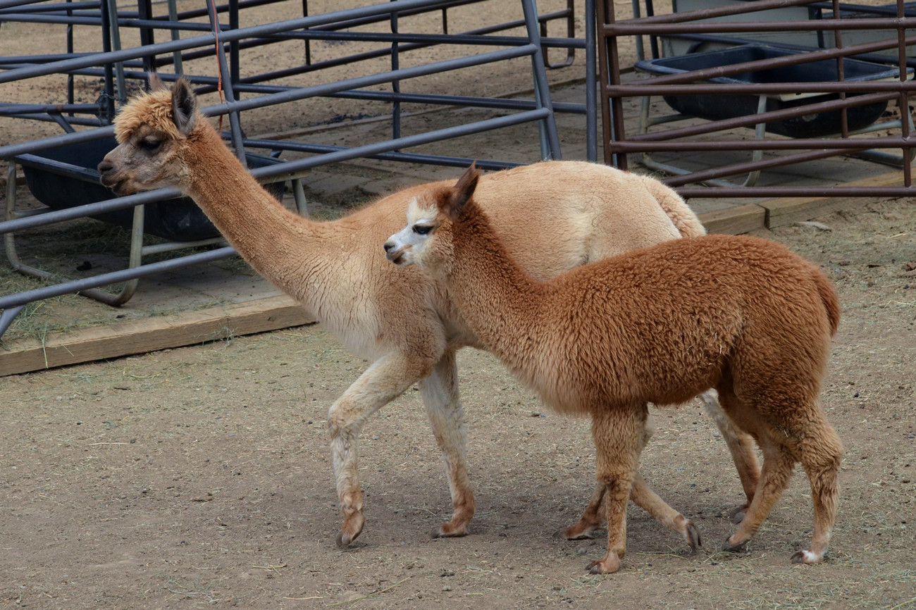 DSC_1712_38.jpg