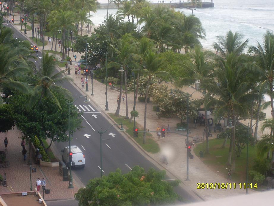 Picture 290.jpg