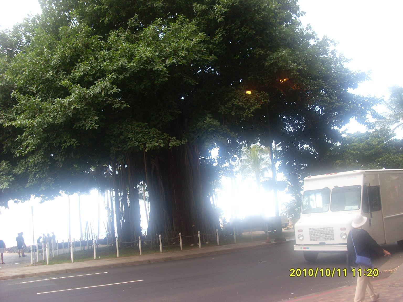 Picture 305.jpg