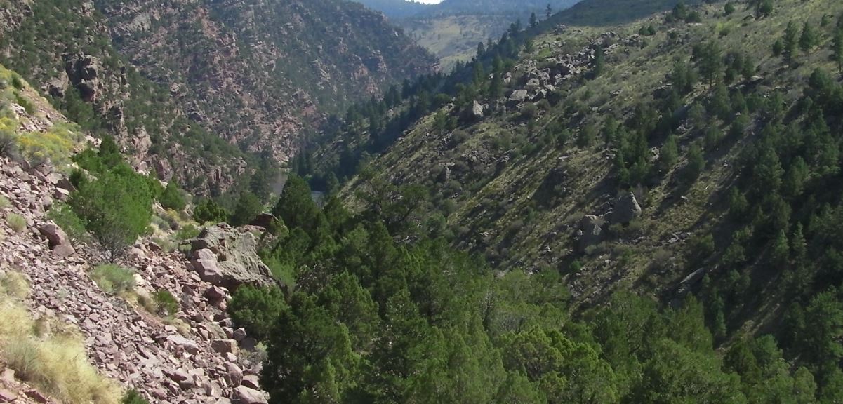 Green River