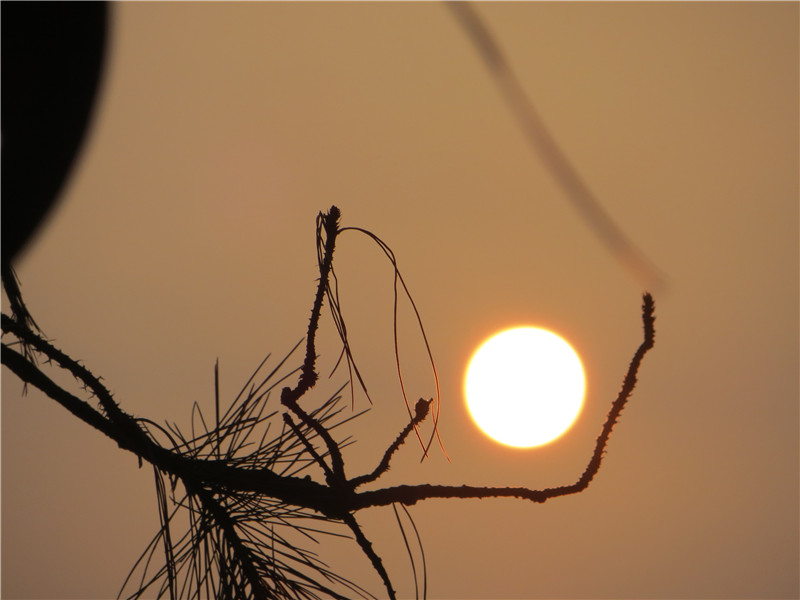 IMG_3776.jpg