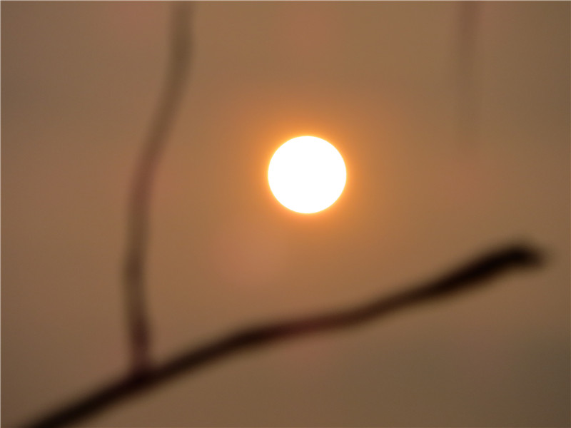 IMG_3779.jpg