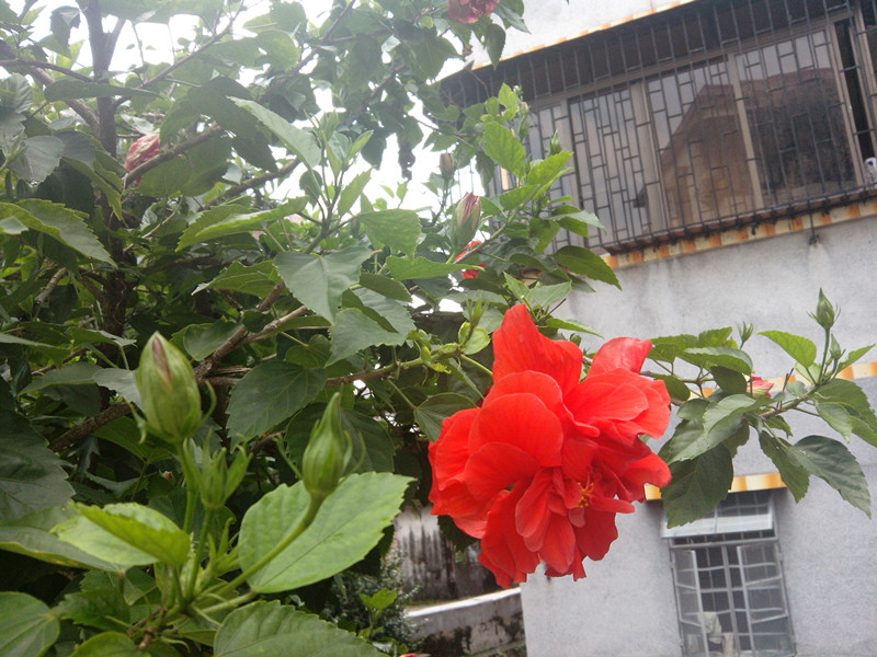 IMG_20130907_144651_.jpg