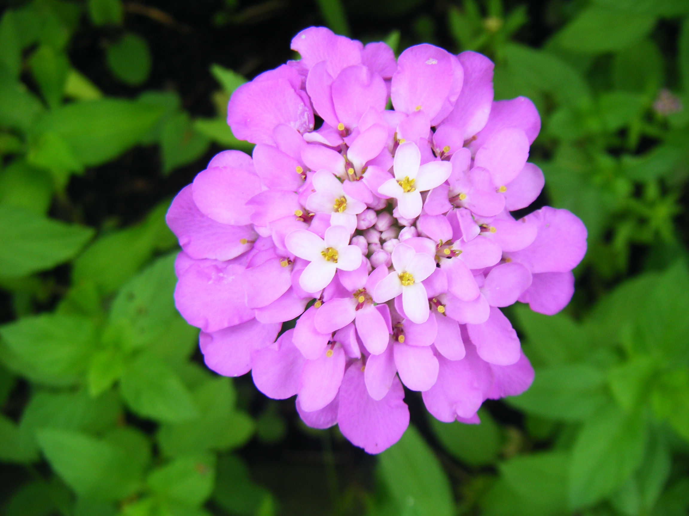 Ҽǰ@ 054.JPG