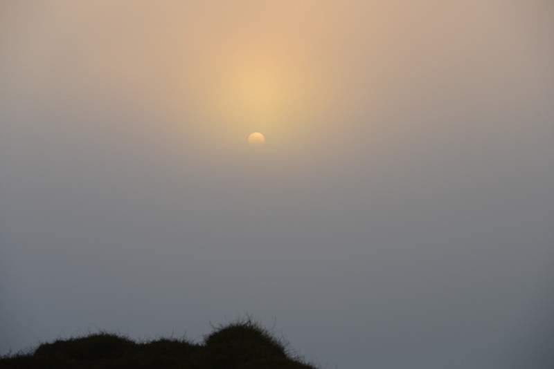 live 574_.jpg