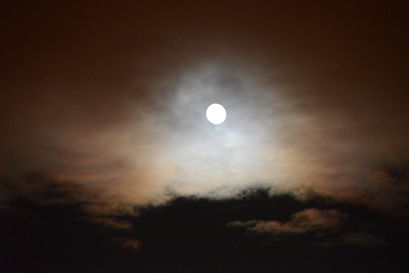 moon 074_.jpg