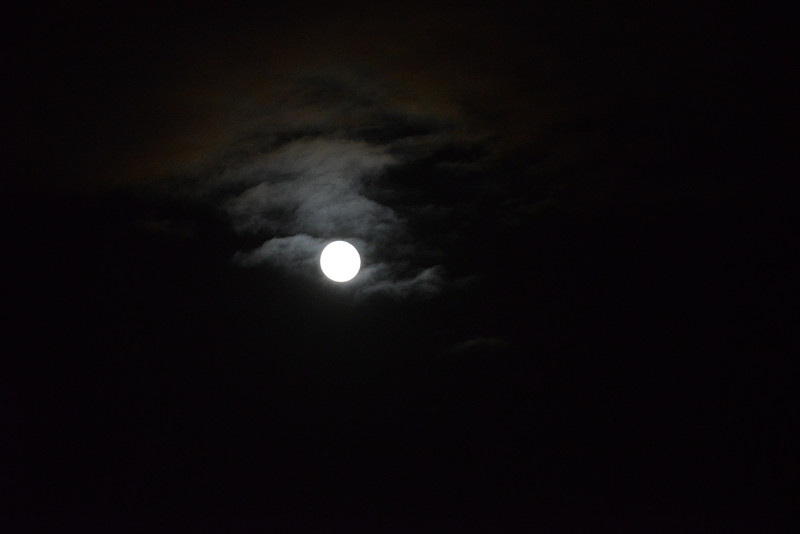 moon 041_.jpg