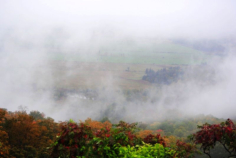 DSC_9850.JPG