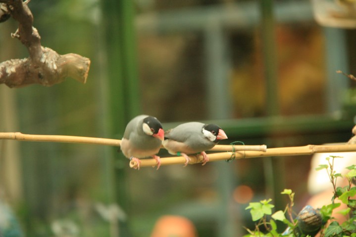 _MG_0476 (Small).JPG
