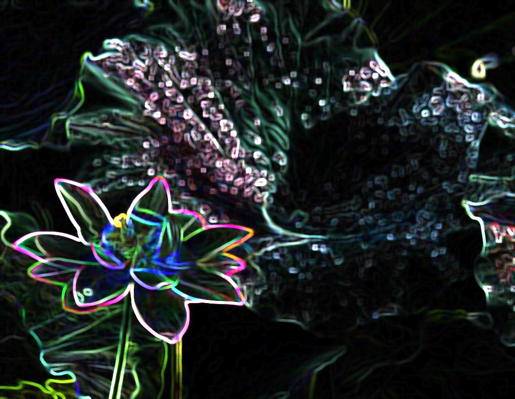 001_conew466.jpg