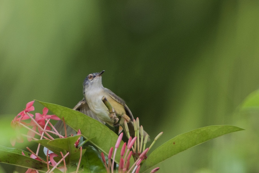 DSC_9959.jpg