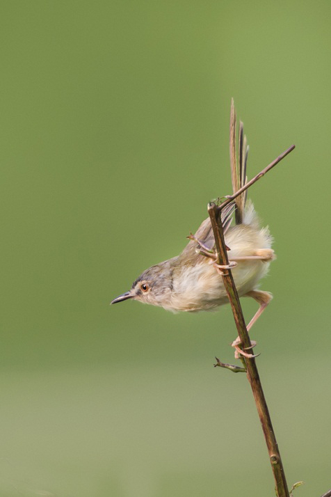 DSC_1057.jpg