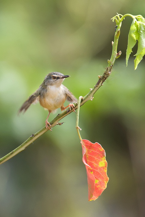 DSC_6235.jpg