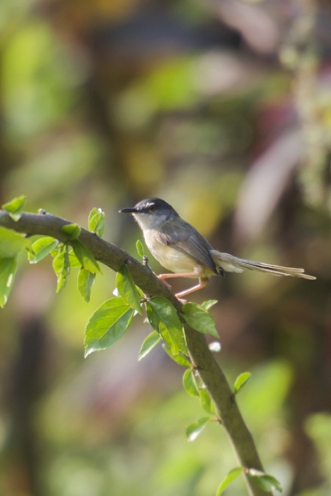DSC_9425.jpg