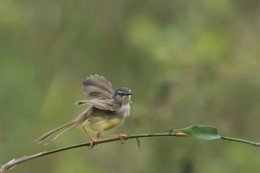 DSC_3858.jpg