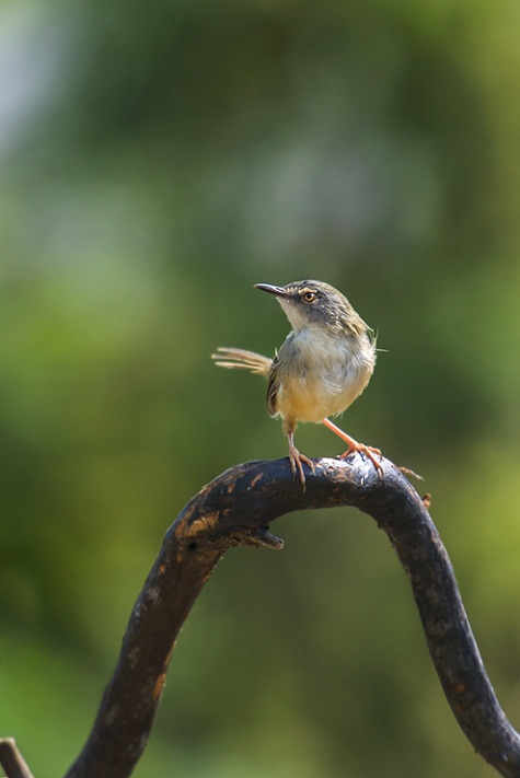DSC_6626.jpg