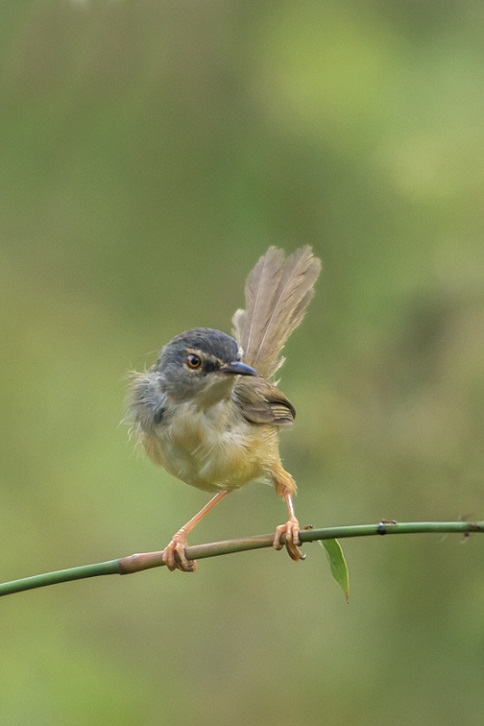 DSC_3866.jpg