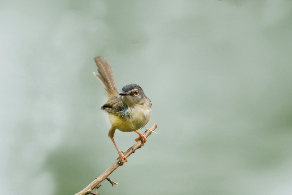 DSC_3825.jpg