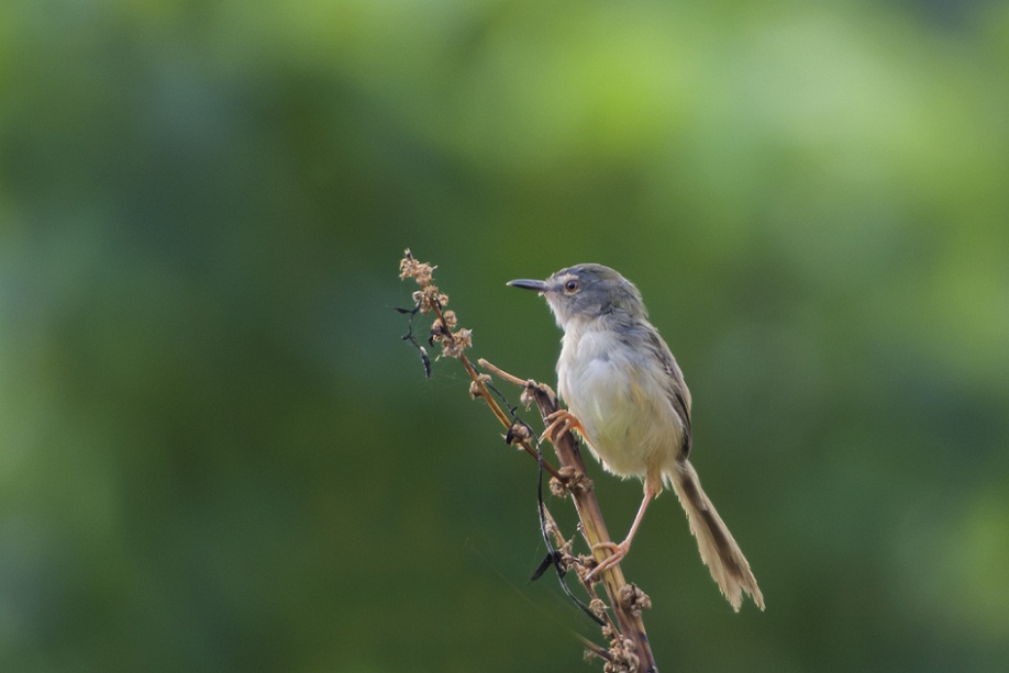 DSC_3725.jpg