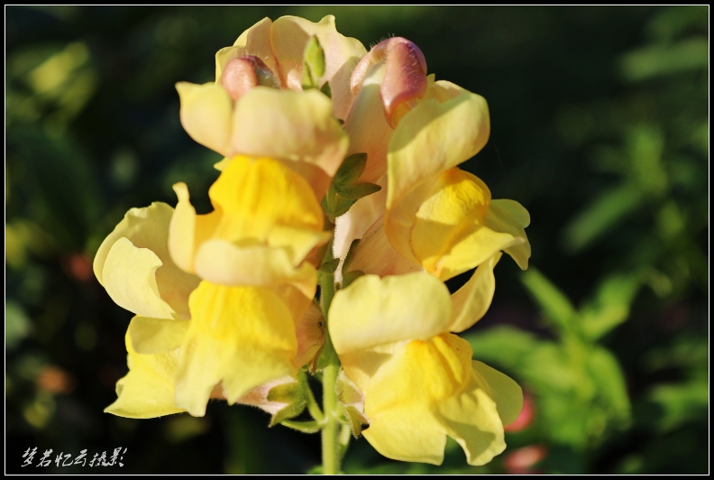 20130716 123_conew1.jpg