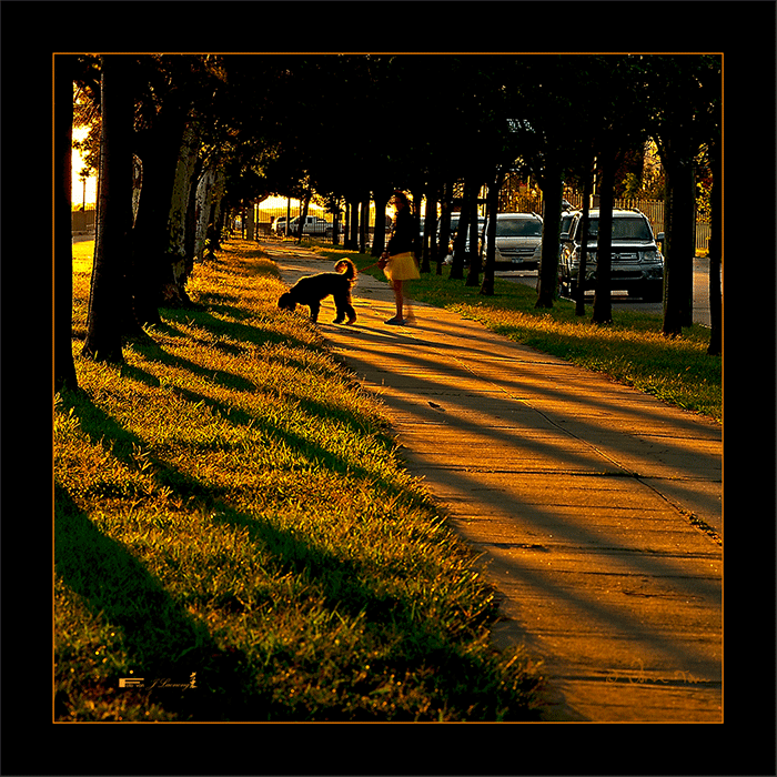 fj_DSC5009.gif