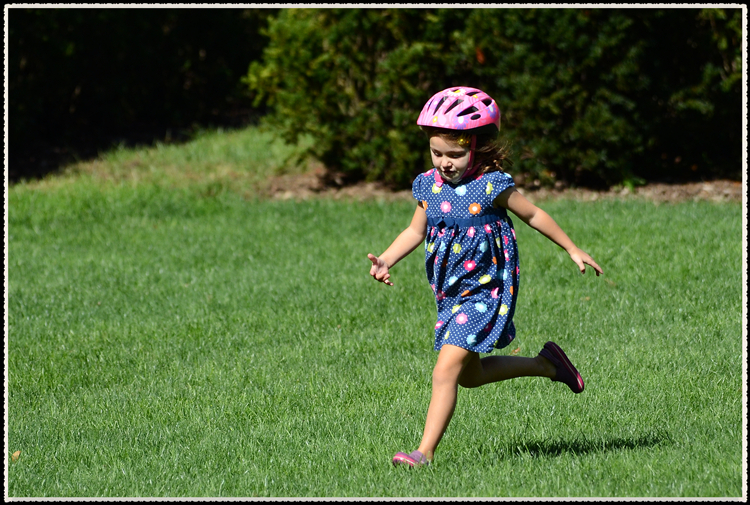 DSC_9785.jpg