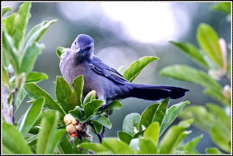 DSC_9212.jpg