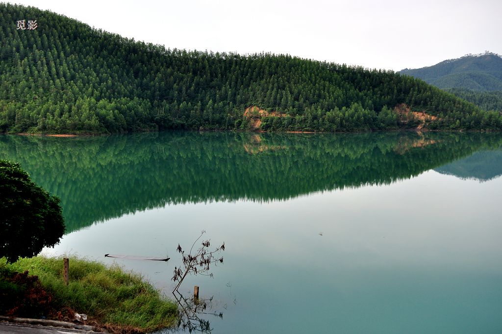 DSC_98182.jpg