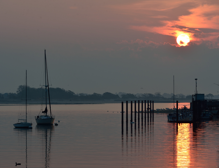 DSC_6318.jpg