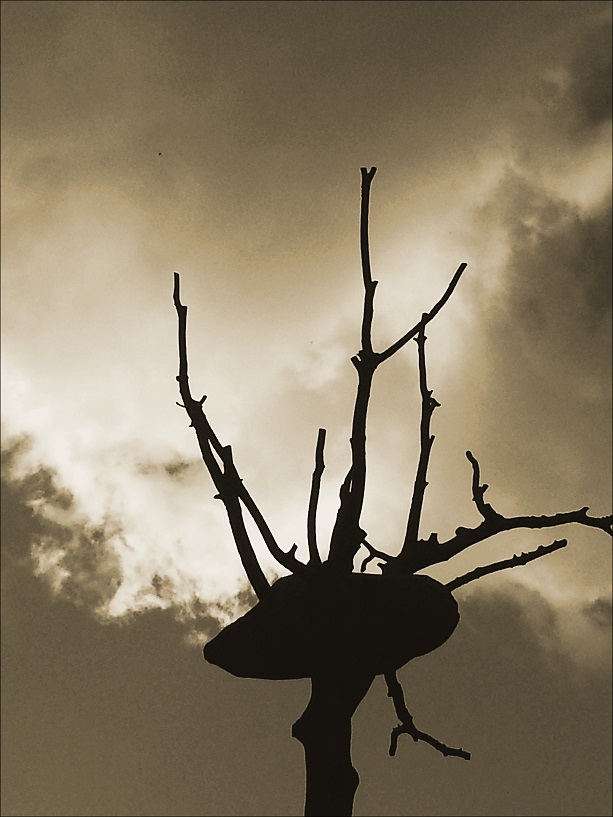 20130928_181050_conew3.jpg