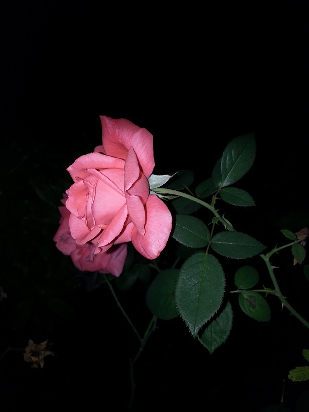 20130827_230120.jpg