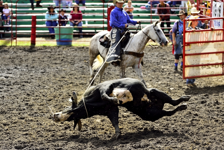 _DSC3742_01.JPG