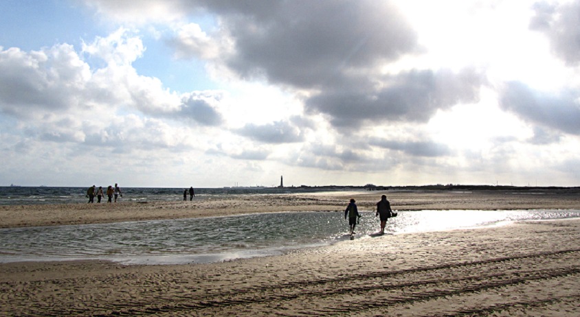 IMG_5011.JPG