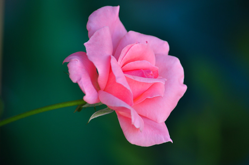 DSC_0928_����.jpg